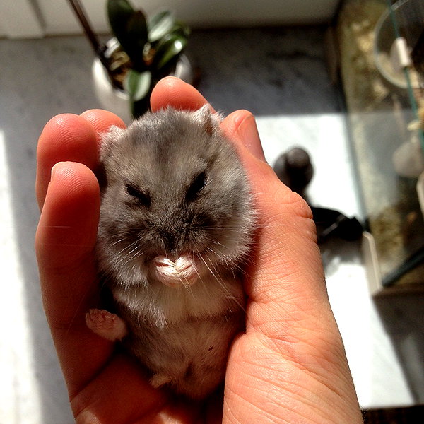lilih instagram image archive image