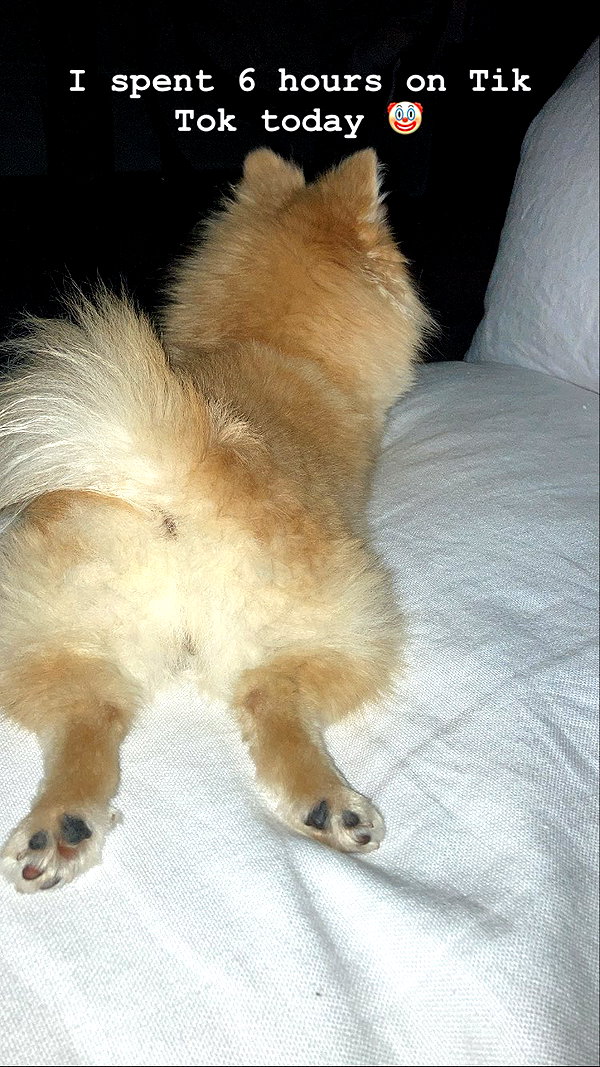 sssniperwolf instagram image archive image