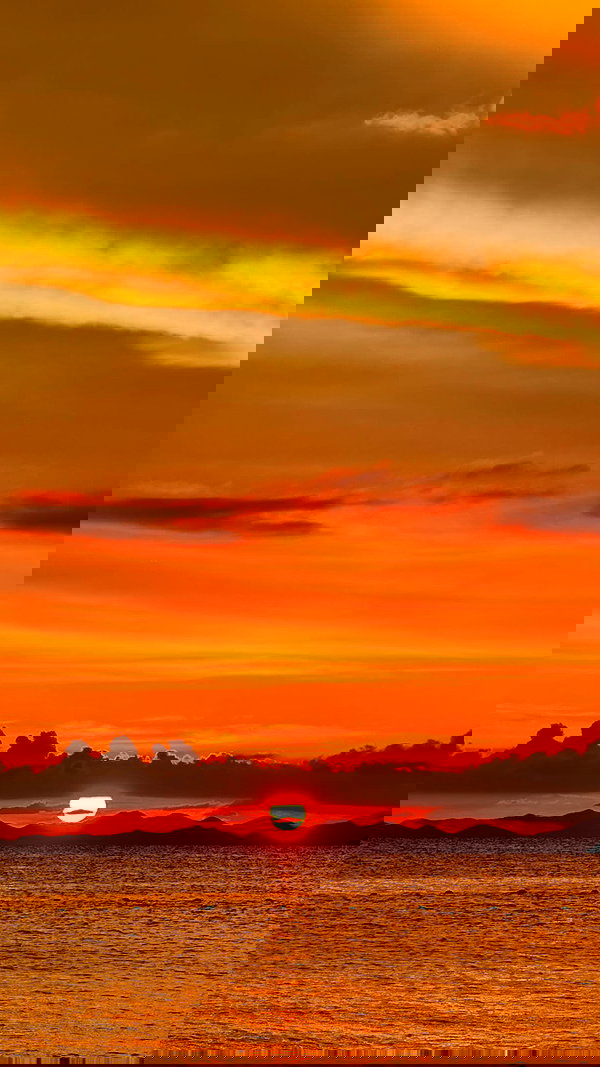 swfx_real swfx_real archive image