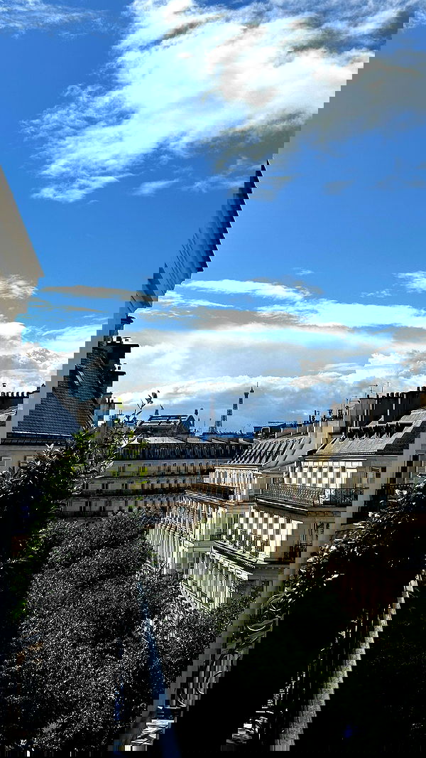 manjolamuriqi manjolamuriqi archive image