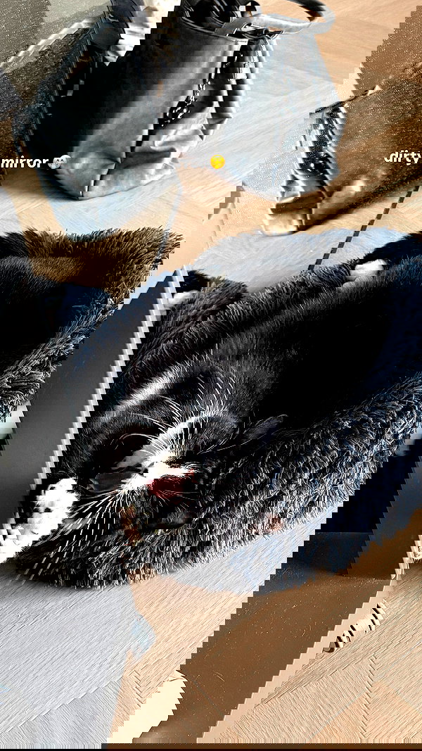 katrina.zaiceva katrina.zaiceva archive image