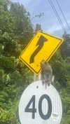 m1ry2m_ Altpins Profile Picture