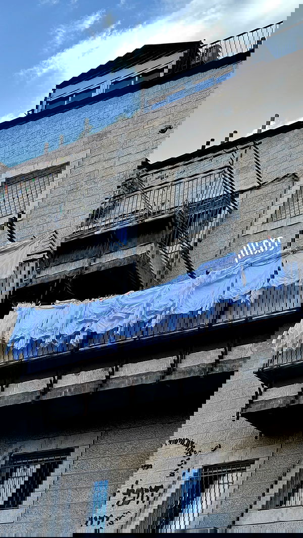 iambohema.v2 iambohema.v2 archive image