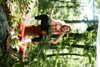 gigihadid Altpins Profile Picture