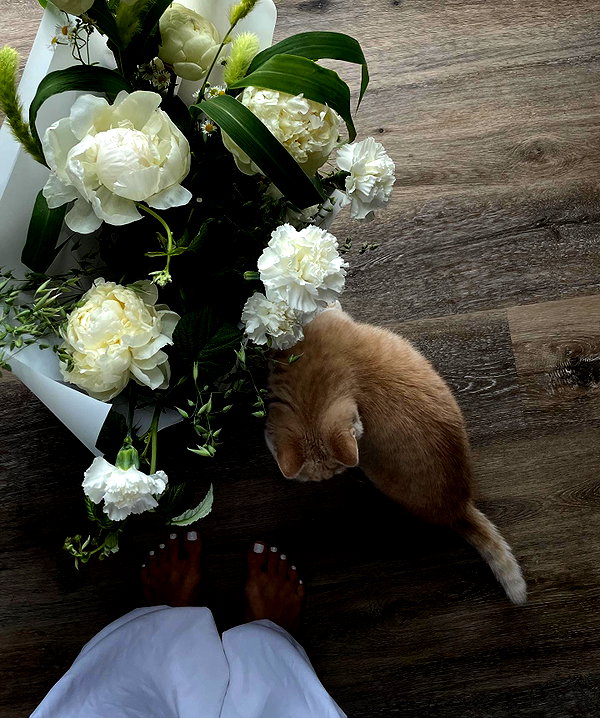 lerkamiill instagram image archive image