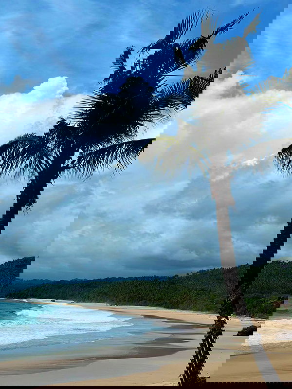 taylor.creeden taylor.creeden archive image