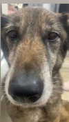 emily_new2 Altpins Profile Picture