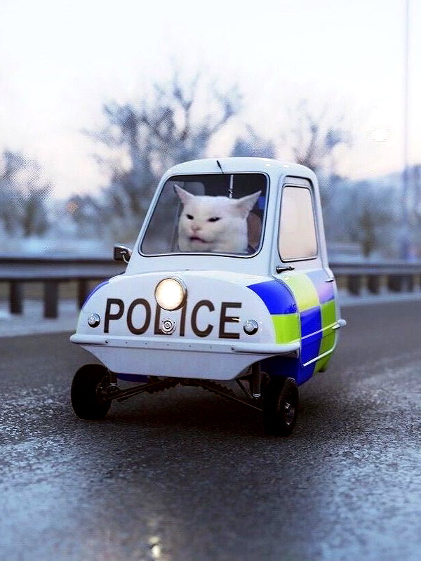milkibunshehe instagram image archive image