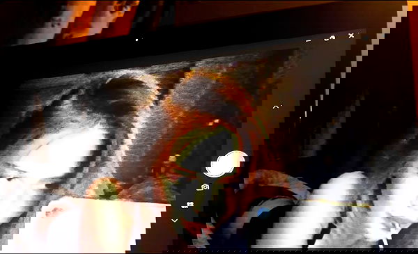 kitty.elliss kitty.elliss archive image