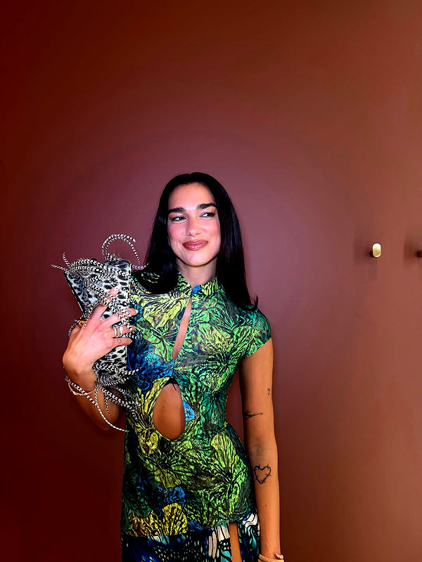 dualipa instagram image archive image