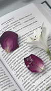 pavuk1_0 Altpins Profile Picture