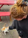 rouxroux.tv Altpins Profile Picture