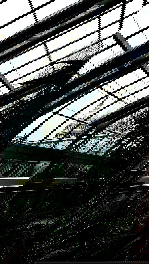 taylor.creeden taylor.creeden archive image