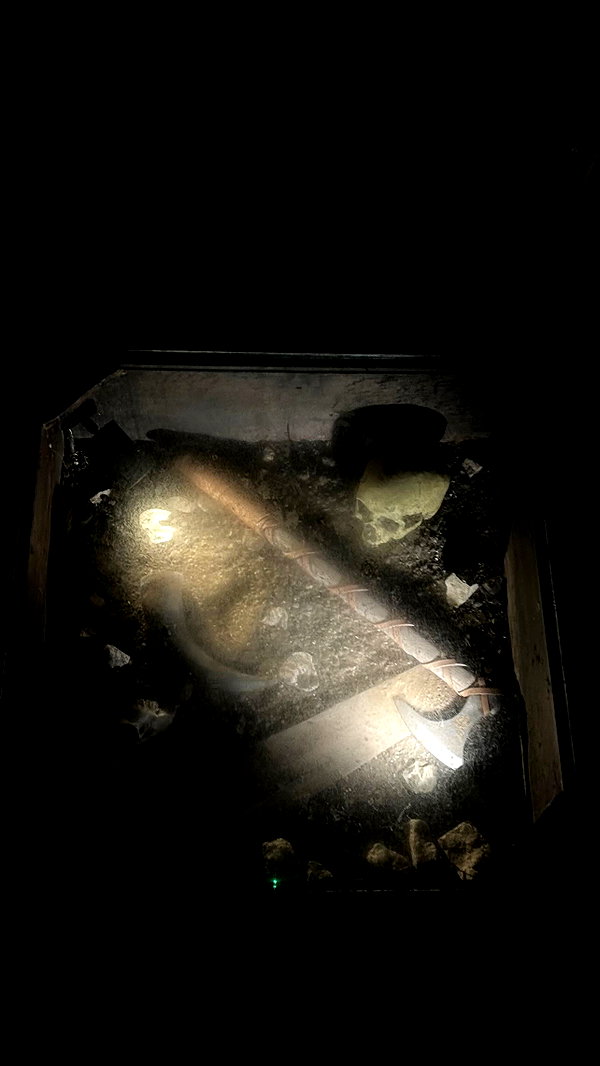 bat.wiings instagram image archive image