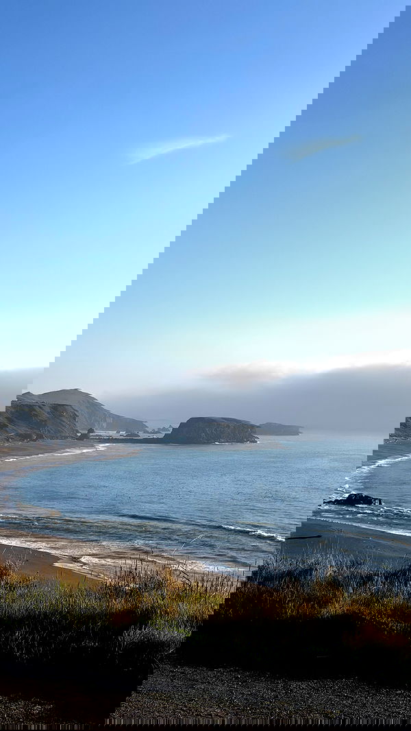 carolinezalog carolinezalog archive image