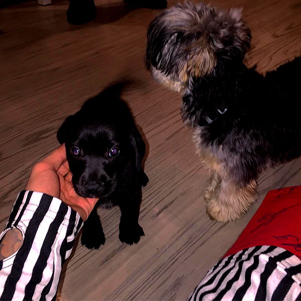 lilbieber instagram image archive image
