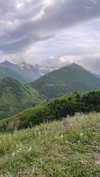 stranstviepera Altpins Profile Picture