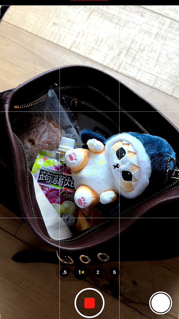 sullivang_ instagram image archive image