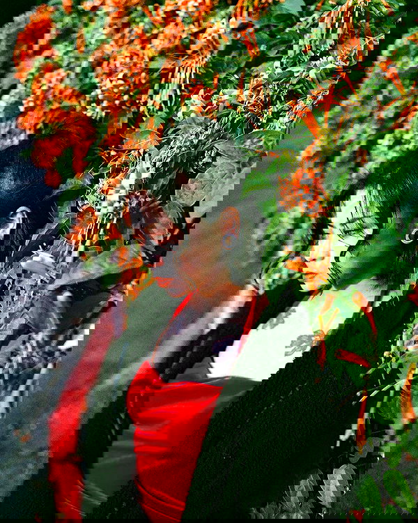 ting851204 ting851204 archive image