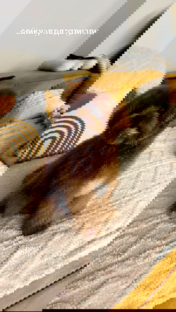 onlykrisssty onlykrisssty archive image