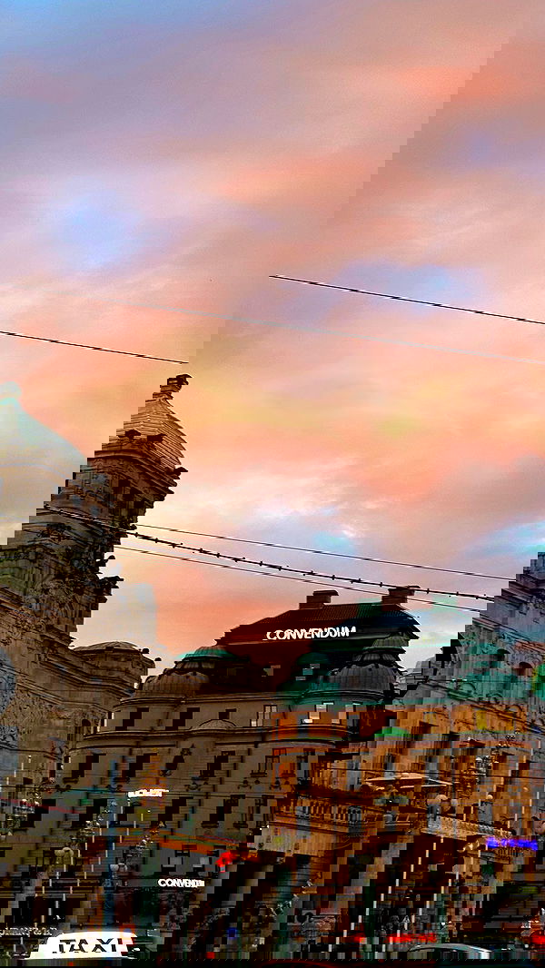 taylor.creeden taylor.creeden archive image