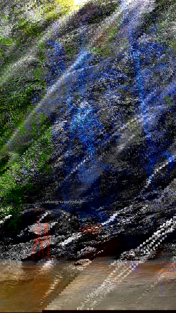 taylor.creeden taylor.creeden archive image