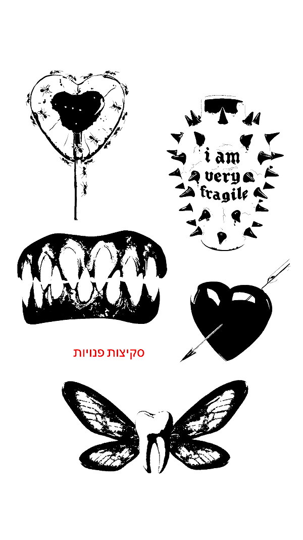 tal.naveh instagram image archive image
