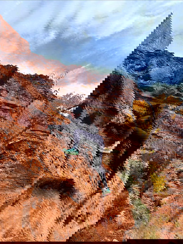 thelizzyporter thelizzyporter archive image