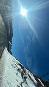 maori_cohen Altpins Profile Picture