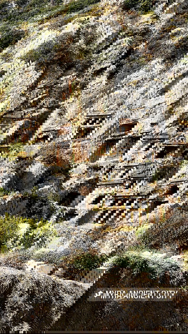 swfx_real swfx_real archive image