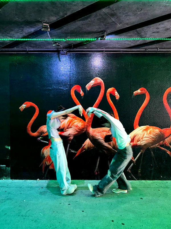 zuhazana instagram image archive image