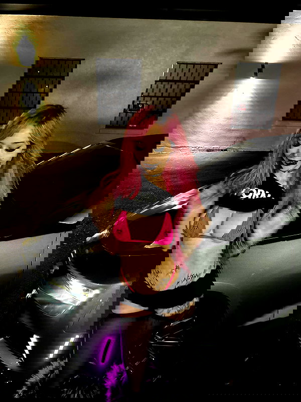 pixelpuppi pixelpuppi archive image