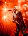 avrillavigne Altpins Profile Picture