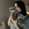 amatveyko Altpins Profile Picture