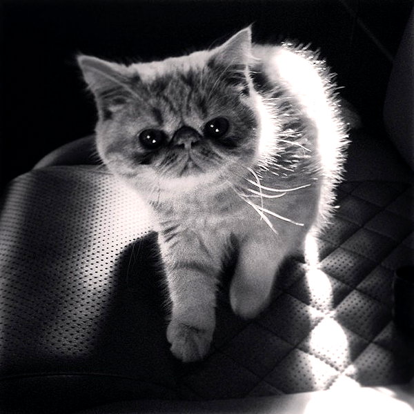 lilbieber instagram image archive image