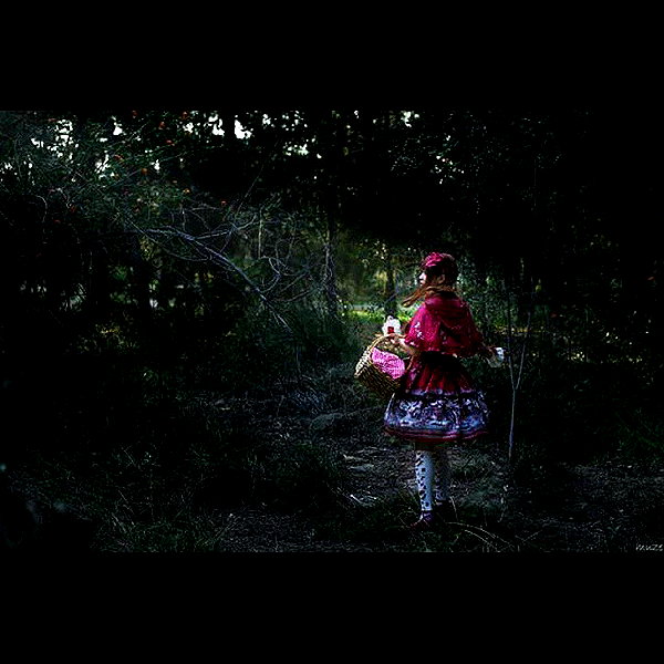 muze instagram image archive image
