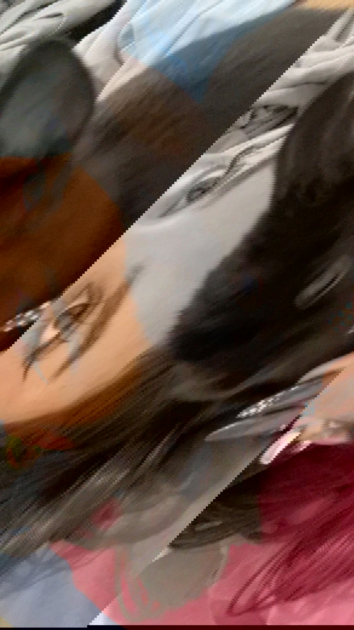 efrat_elmalich instagram image archive image