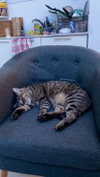 shanidahan7 Altpins Profile Picture