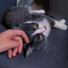 yuna_1_27 Altpins Profile Picture