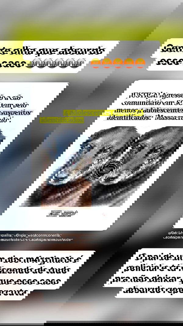 kaarolzx kaarolzx archive image