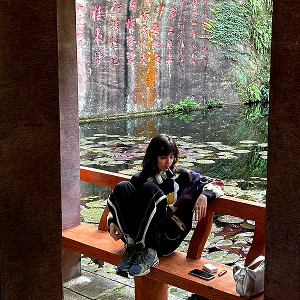 dwpolin instagram image archive image