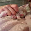 livia._.paige Altpins Profile Picture