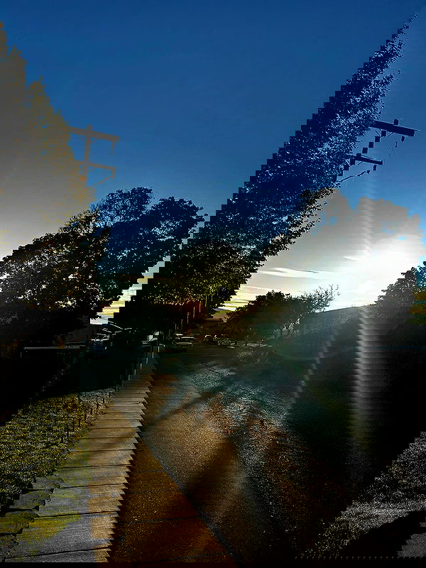 _animechika_ image ~ Altpins