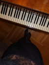 levsave Altpins Profile Picture