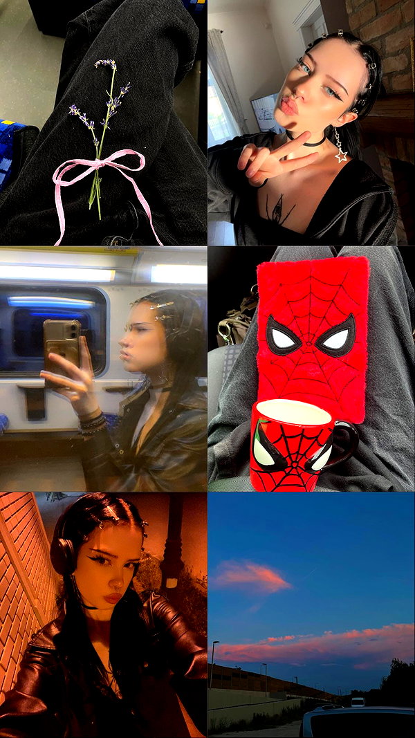 borkwsmh instagram image archive image