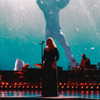 adele Altpins Profile Picture
