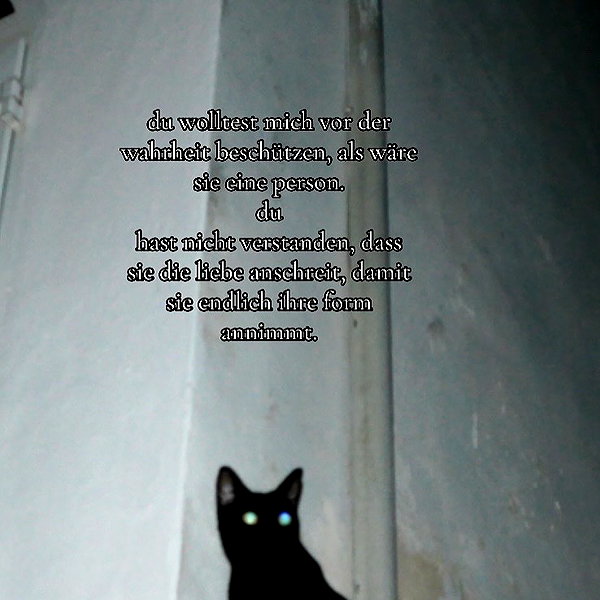 leni.bahr instagram image archive image