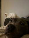 _m_a_y_c_ Altpins Profile Picture