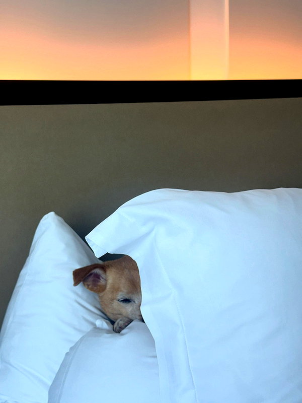 arianagrande instagram image archive image