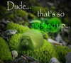 rixiadigivolved Altpins Profile Picture